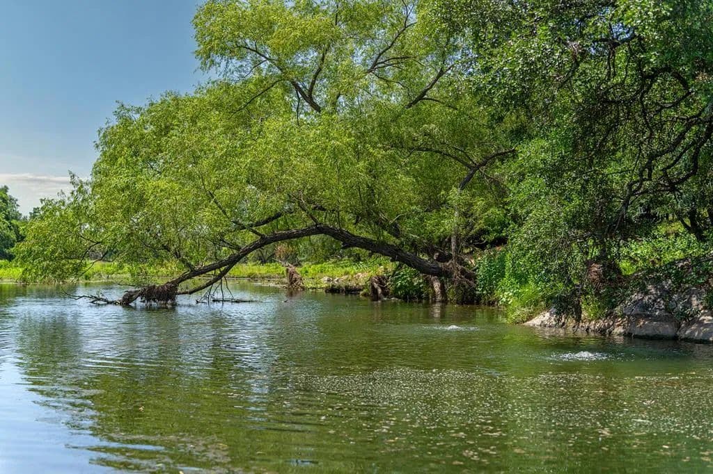 189.63 Acres of Land for Sale in Mason, TX - Mason, Texas, 76856