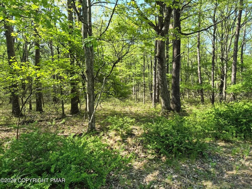 Lots & Land-Other in Canadensis