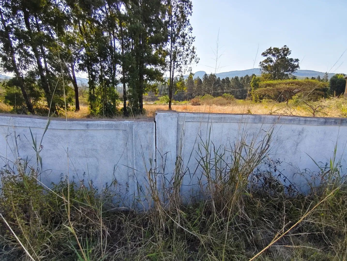 Land for Sale in Louis Trichardt, Limpopo - land for sale