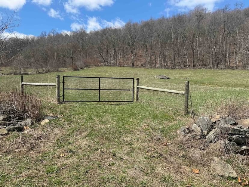59 acres Pastureland, Woodlands and 2 Streams in Durham NY Brand Hollow Rd in the Catskills