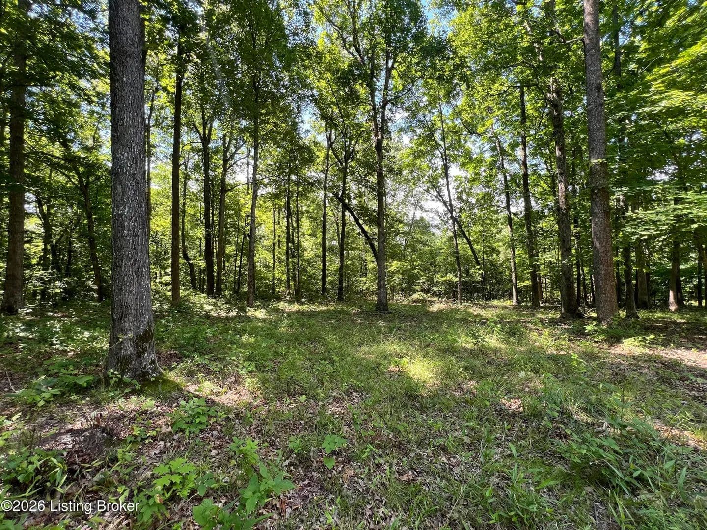 16.55 Acres of Land for Sale in Clarkson, Kentucky - Clarkson, Kentucky, 42726
