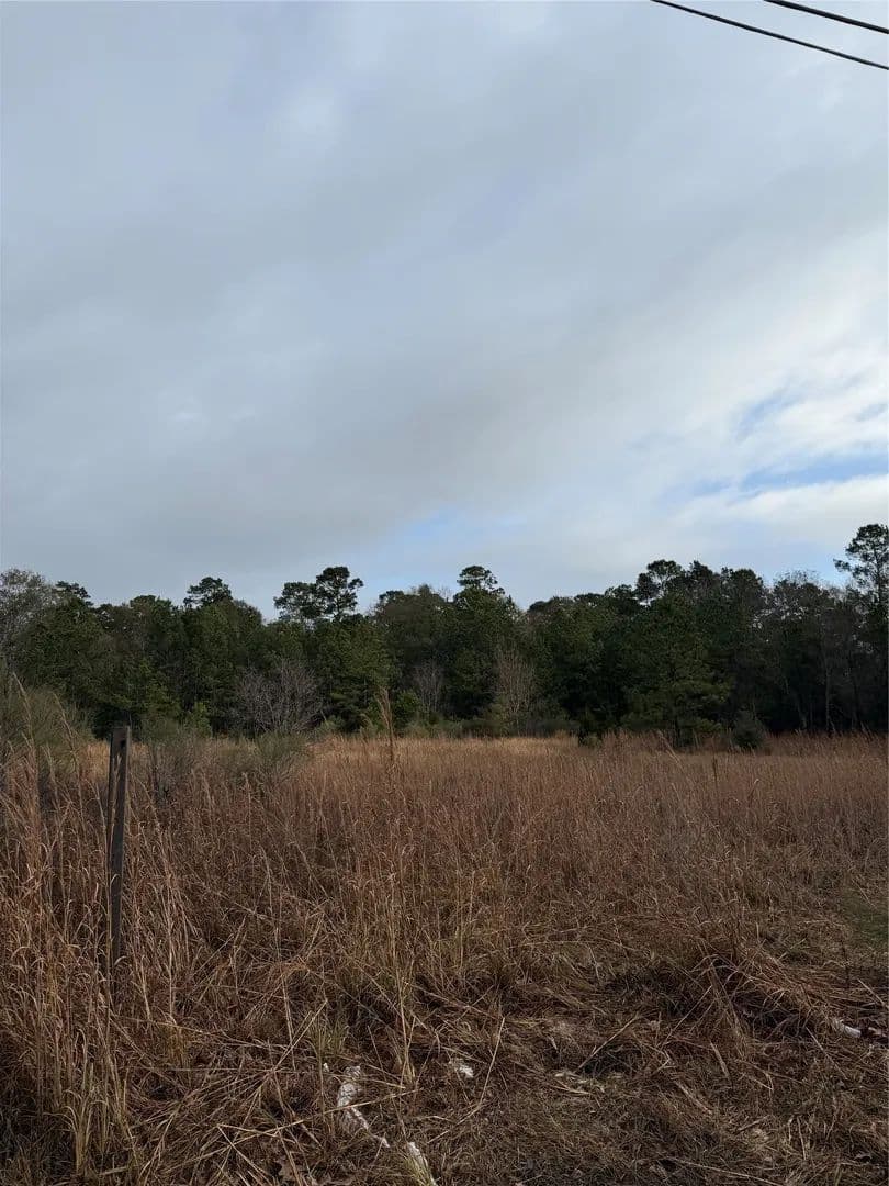 Vacant Land in Splendora - Splendora, Texas, 77372