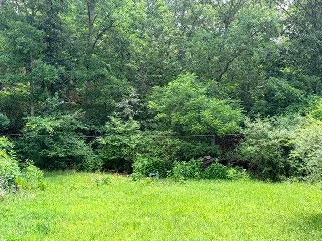 Land -Single Family Acreage in Mill Spring - Mill Spring, Missouri, 63952