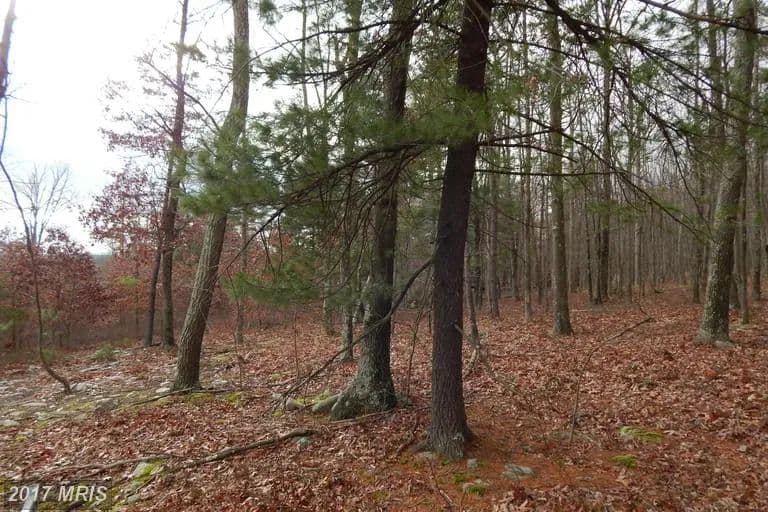 Lots & Land-Other in BERKELEY SPRINGS - Berkeley Springs, West Virginia, 25411
