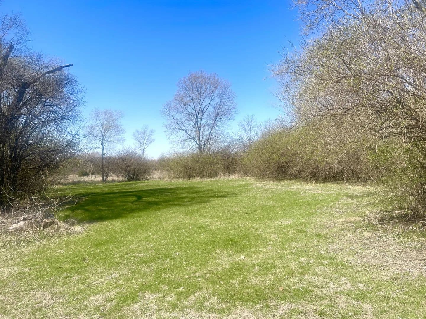 Vacant Land in Utica - Utica, Illinois, 61373