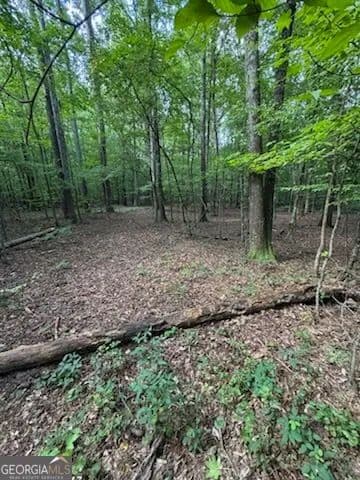 Vacant Land in Fayetteville - Fayetteville, Georgia, 30215