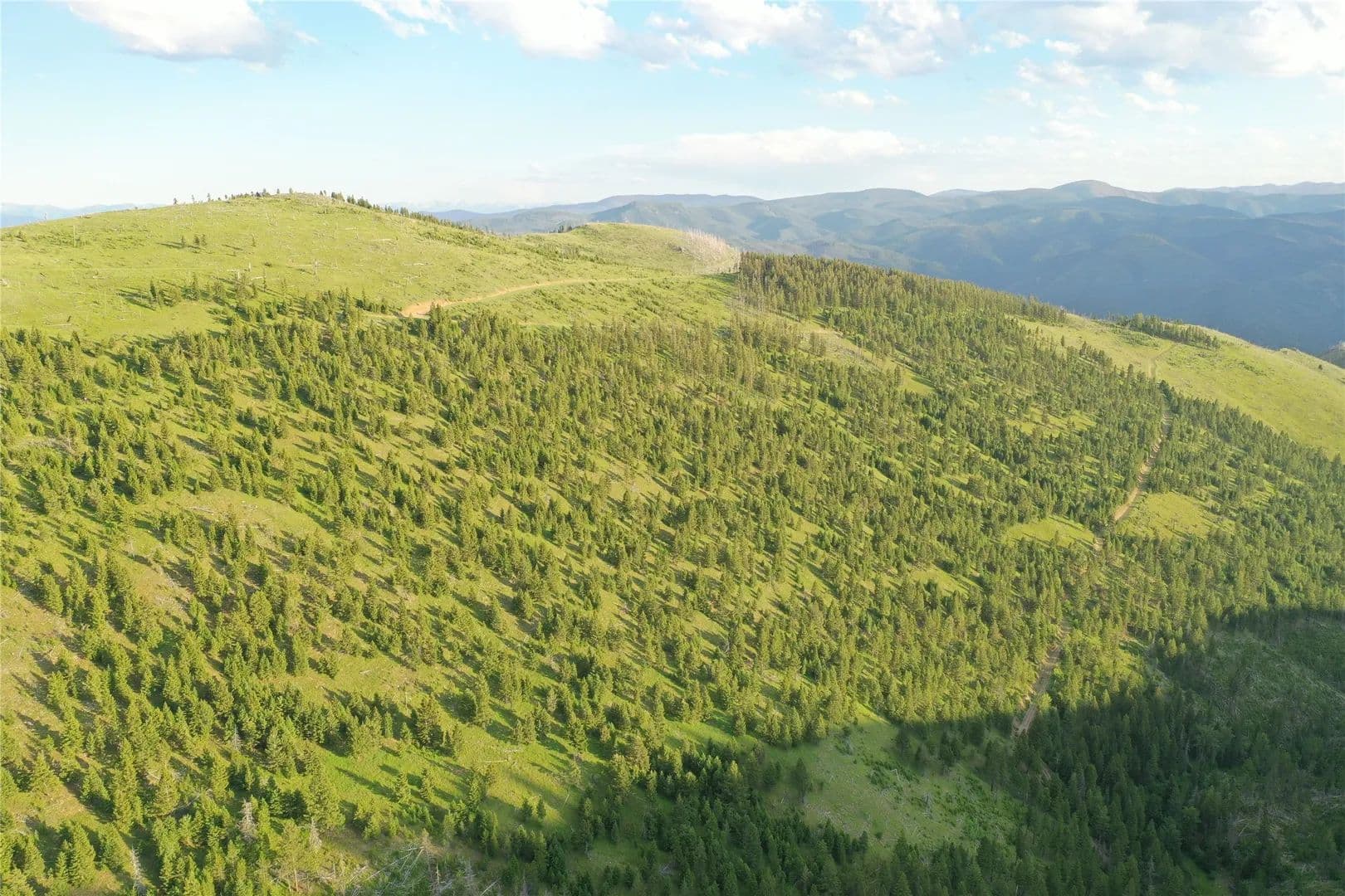156.14 Acres of Land for Sale in Drummond, MT - Drummond, Montana, 59825