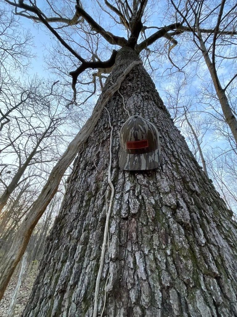 26.5 Acres in Lonoke County, AR 