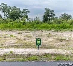7 Acres of Land for Sale in Oxford, FL - Oxford, Florida, 34484