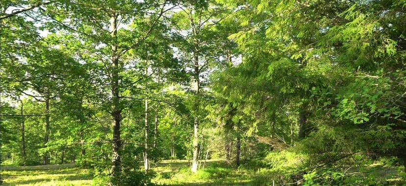 Vacant Land in Bayfield