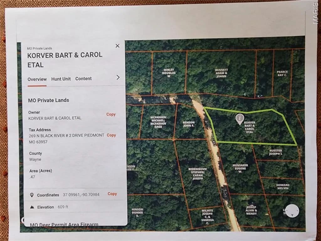 Property from 0 County Road 453 - KW - Piedmont, Missouri, 63957