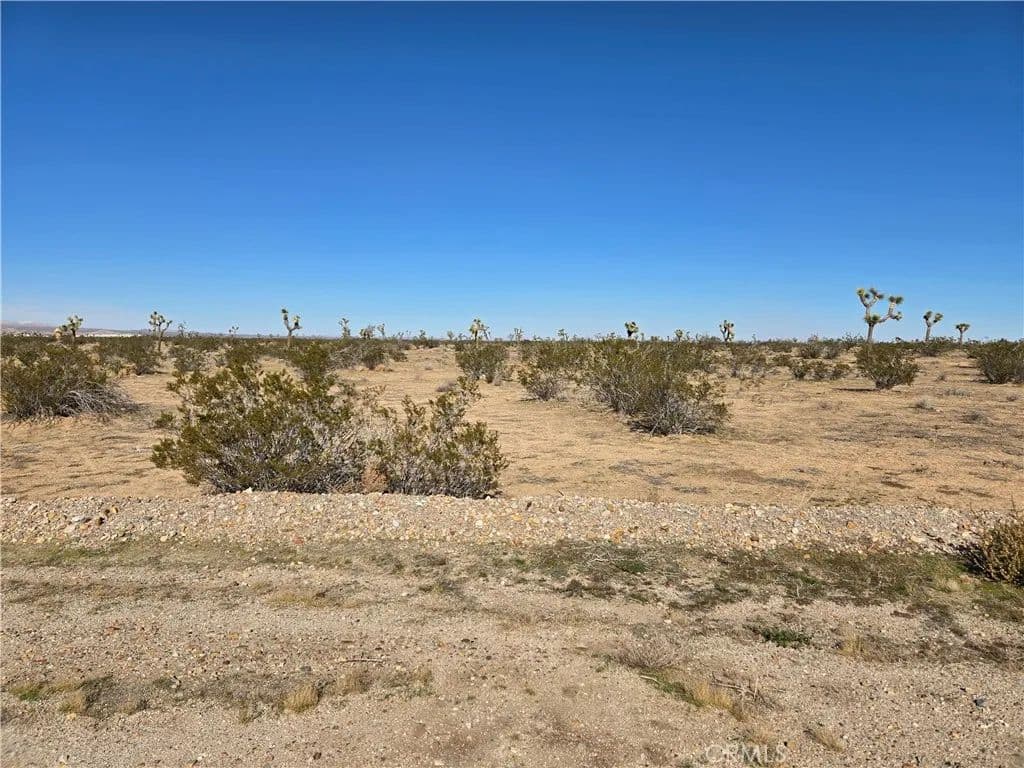 Vacant Land in Adelanto - Adelanto, California, 92301