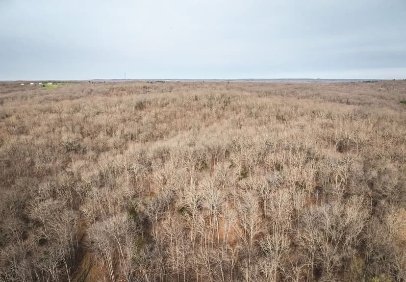 Soaring Eagle Tract 1