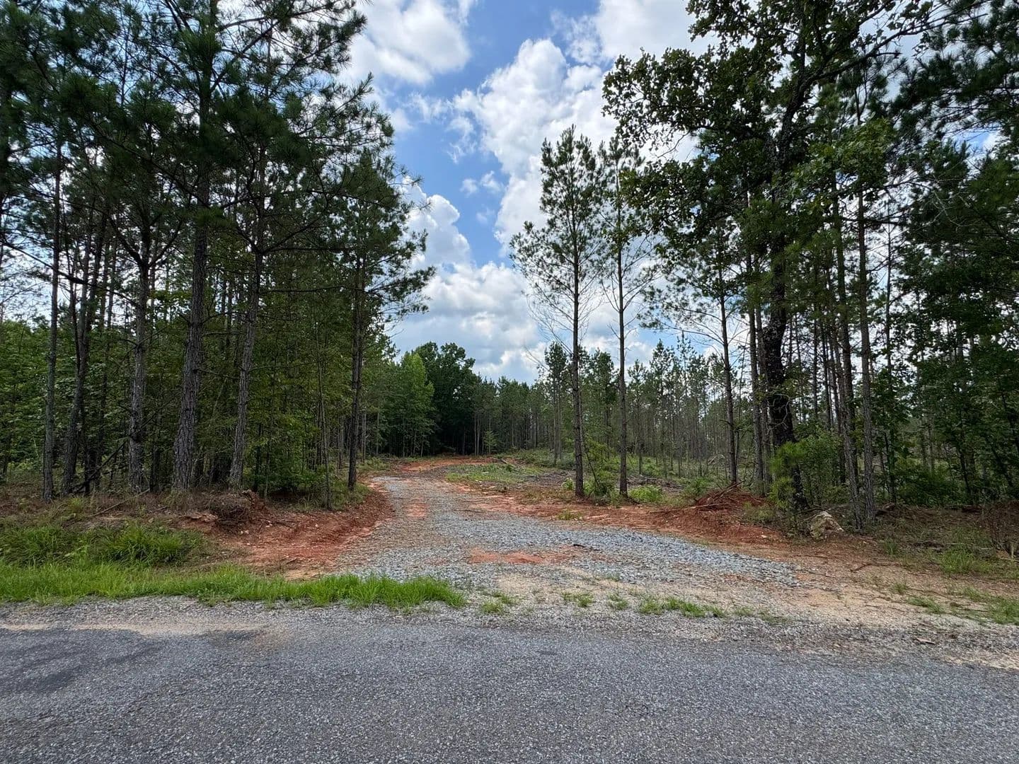 25.74 +/- Acres, Parker Island Road, Coosa County, AL - Equality, Alabama, 36026