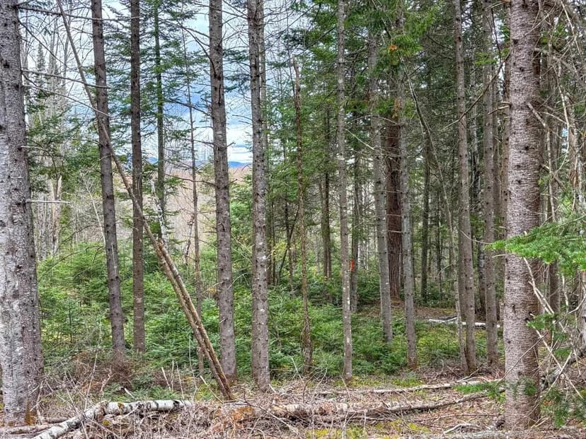 Lots & Land-Other in Brighton