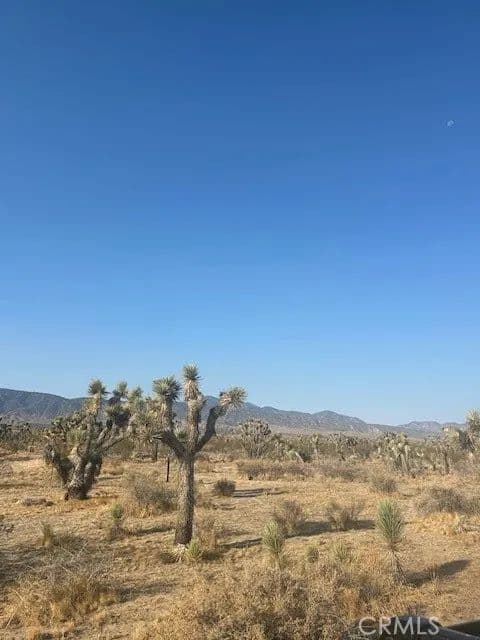 Vacant Land in Palmdale - Palmdale, California, 93591
