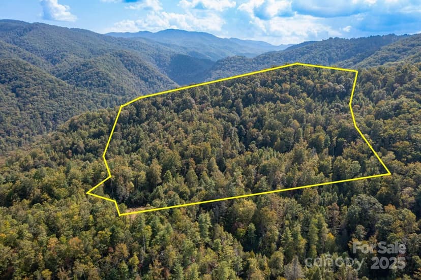 Property from 999 NC 209 Highway #9 - KW