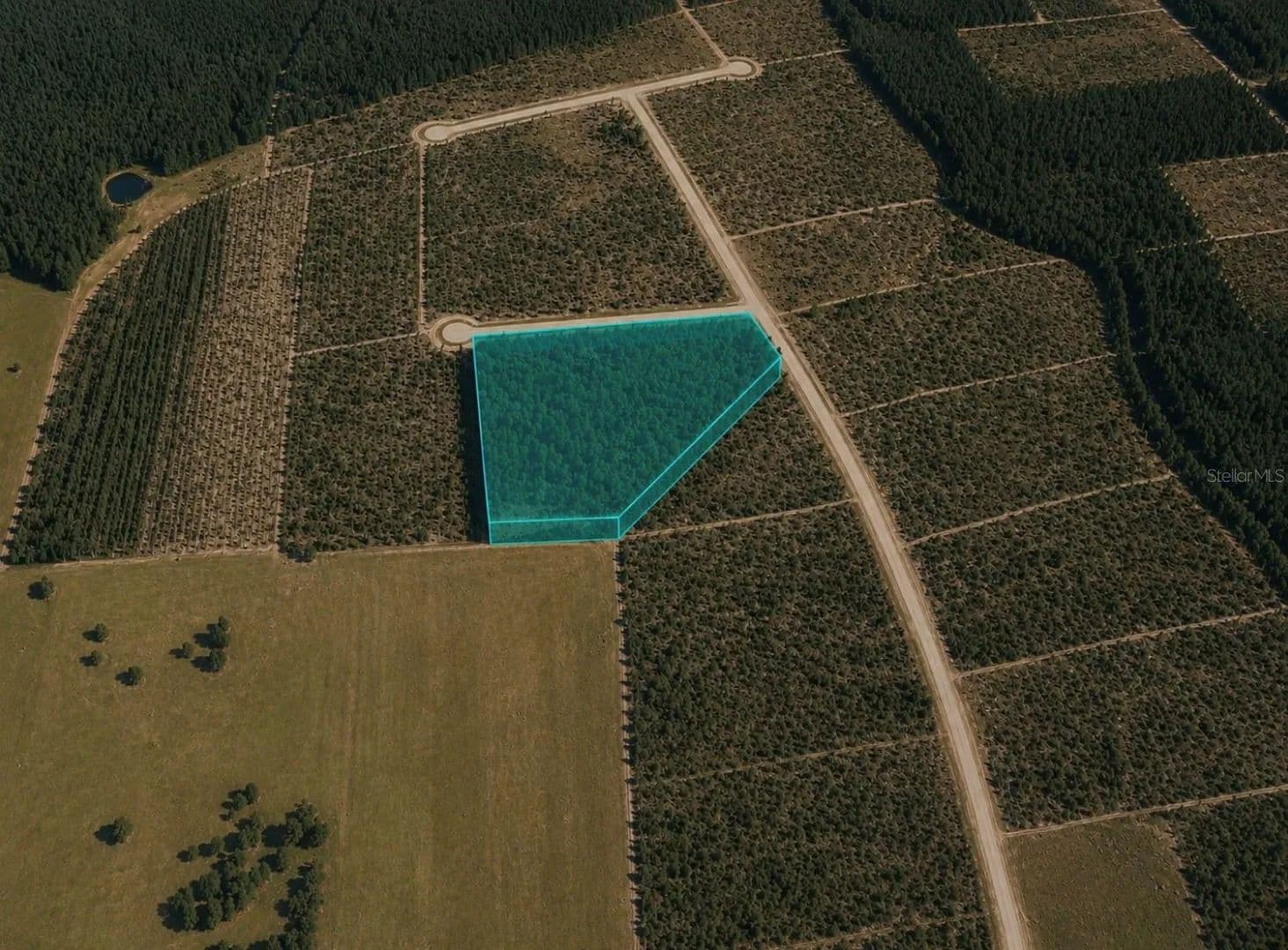 Property from UNASSIGNED - KW - Bristol, Florida, 32321