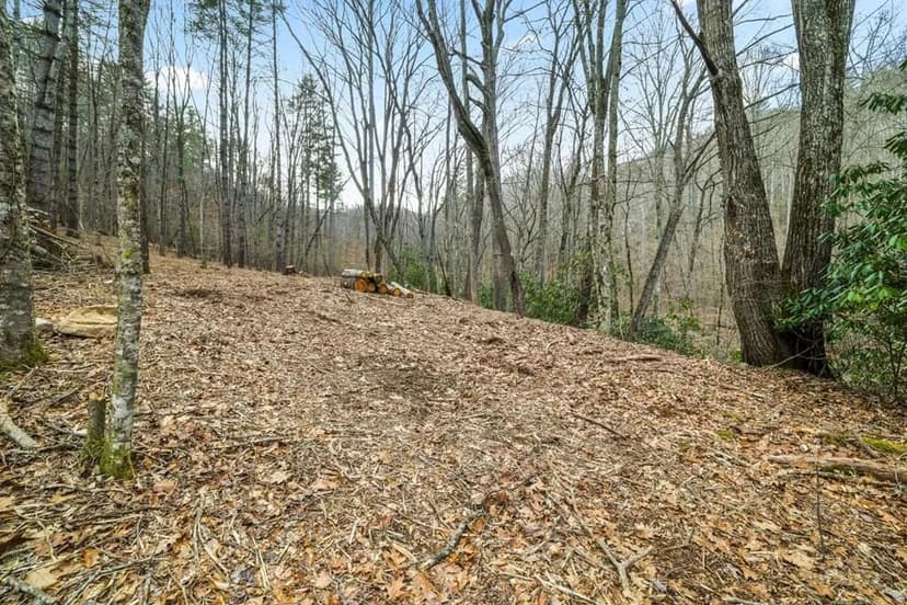 Property from Lot 3 Craig Dr - KW