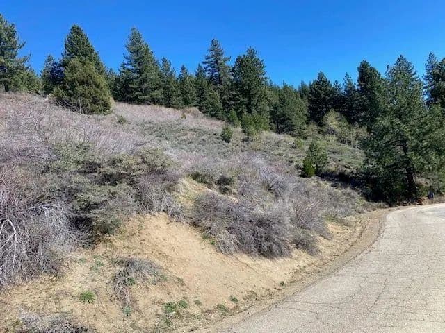 Vacant Land in Portola - Portola, California, 96122