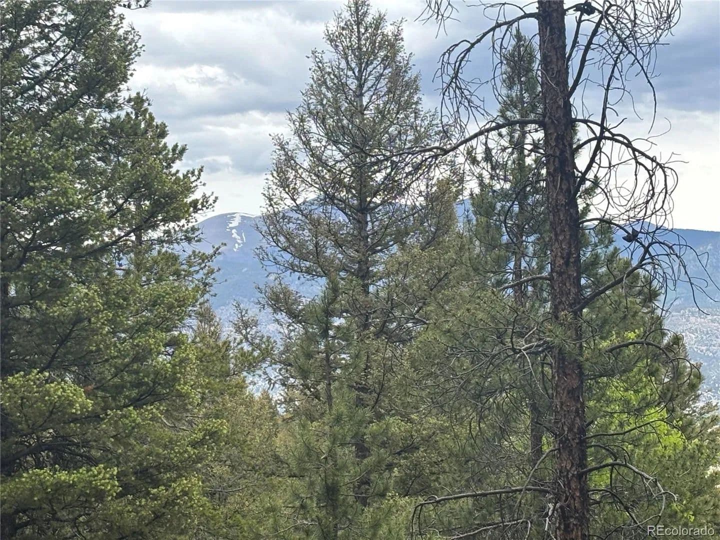 Lots & Land-Other in Buena Vista - Buena Vista, Colorado, 81211