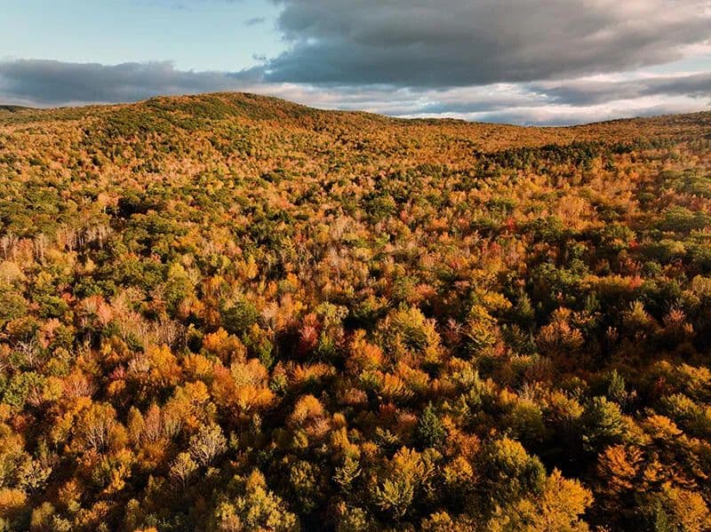Vacant Land in West Paris - West Paris, Maine, 04289