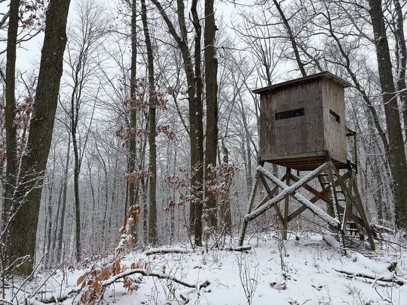 30 +/- Acre Outdoors Oasis / Newaygo County, MI / Land For Sale