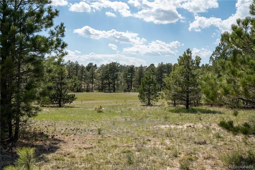 Property from TBD-2 Paradise Circle - KW