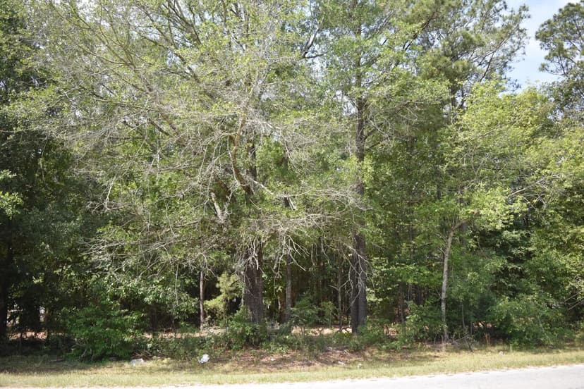 Vacant Land in Kingstree