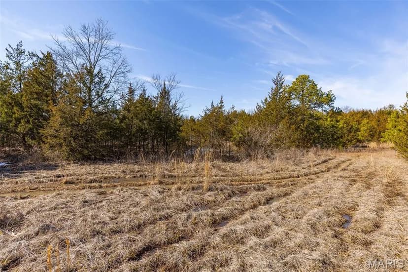 Lots & Land-Other in Irondale