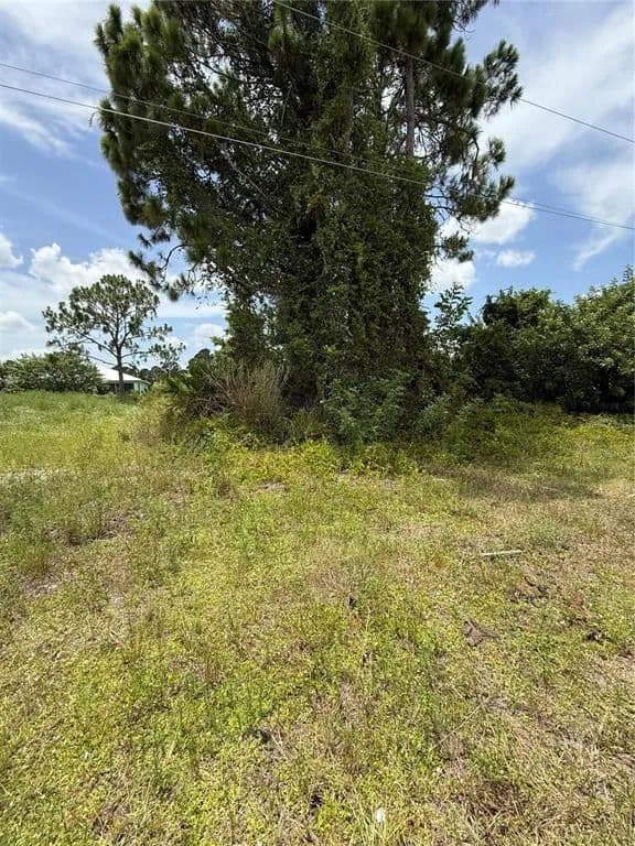 Vacant Land in Lehigh Acres - Lehigh Acres, Florida, 33974