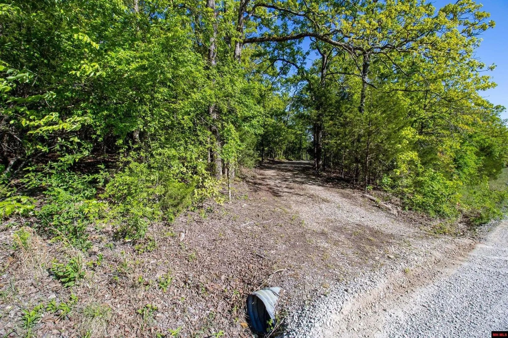 Lots & Land-Other in Clarkridge - Clarkridge, Arkansas, 72623