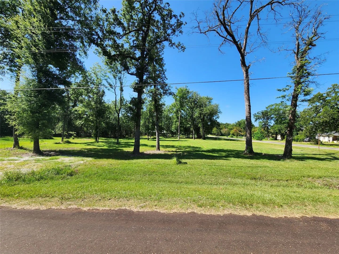 Vacant Land in Trinity - Trinity, Texas, 75862