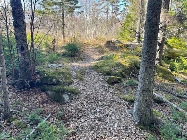 Lots & Land-Other in South Thomaston - South Thomaston, Maine, 04858