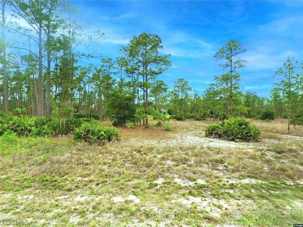 Lots & Land-Other in Lehigh Acres - Lehigh Acres, Florida, 33972
