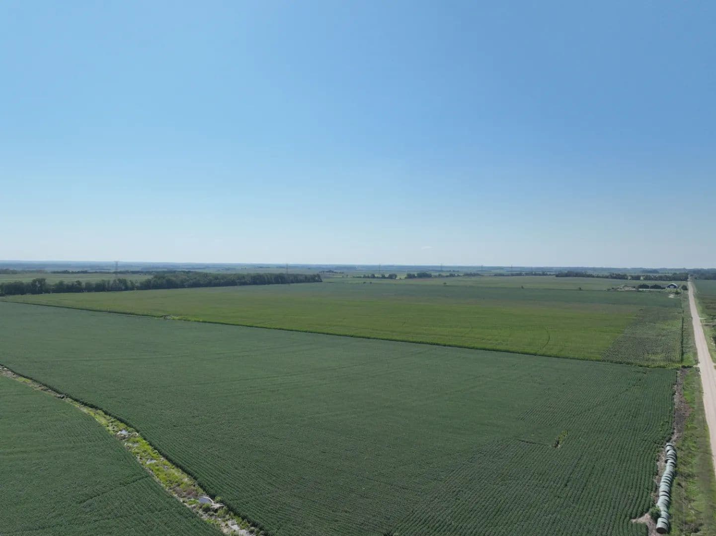 Land For Sale | 241+/- Acres | Madison County, NE - Norfolk, Nebraska, 68701