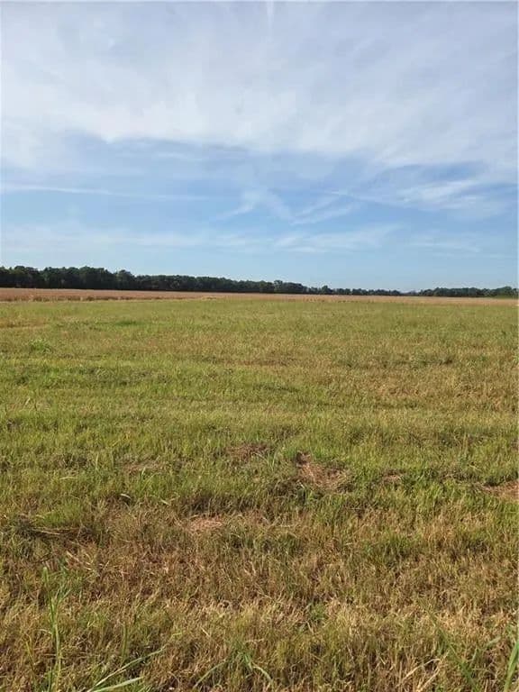 Lots & Land-Other in Natchez - Natchez, Louisiana, 71456