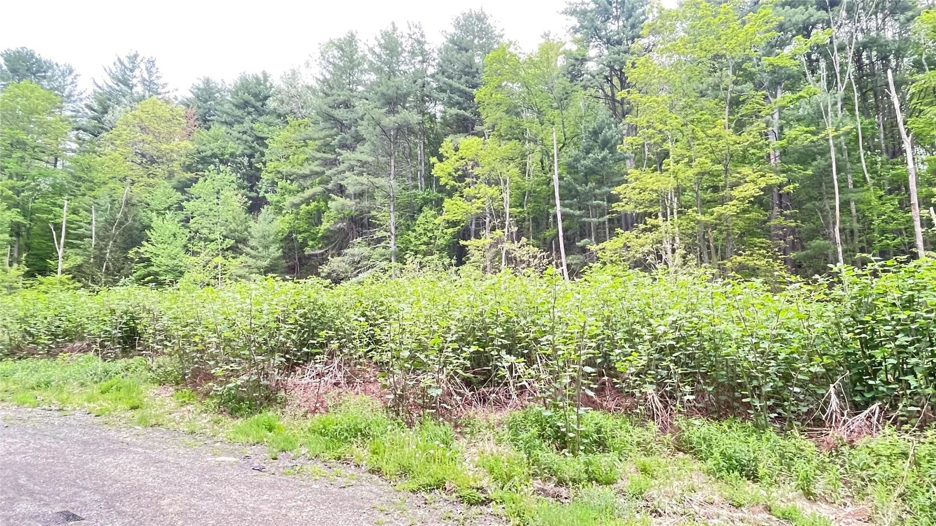 Vacant Land in Johnson City - Johnson City, New York, 13790