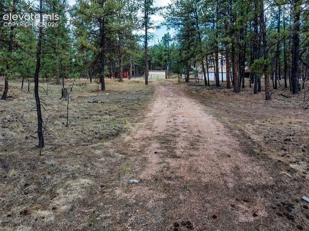 Lots & Land-Other in Florissant - Florissant, Colorado, 80816