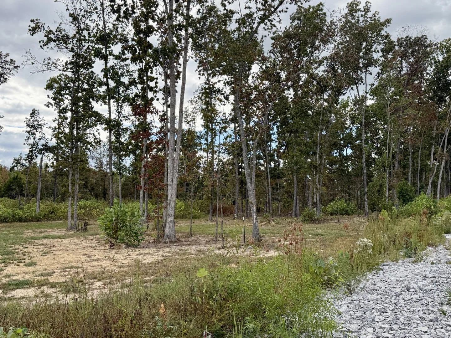 Lots & Land-Other in Wartrace - Wartrace, Tennessee, 37183