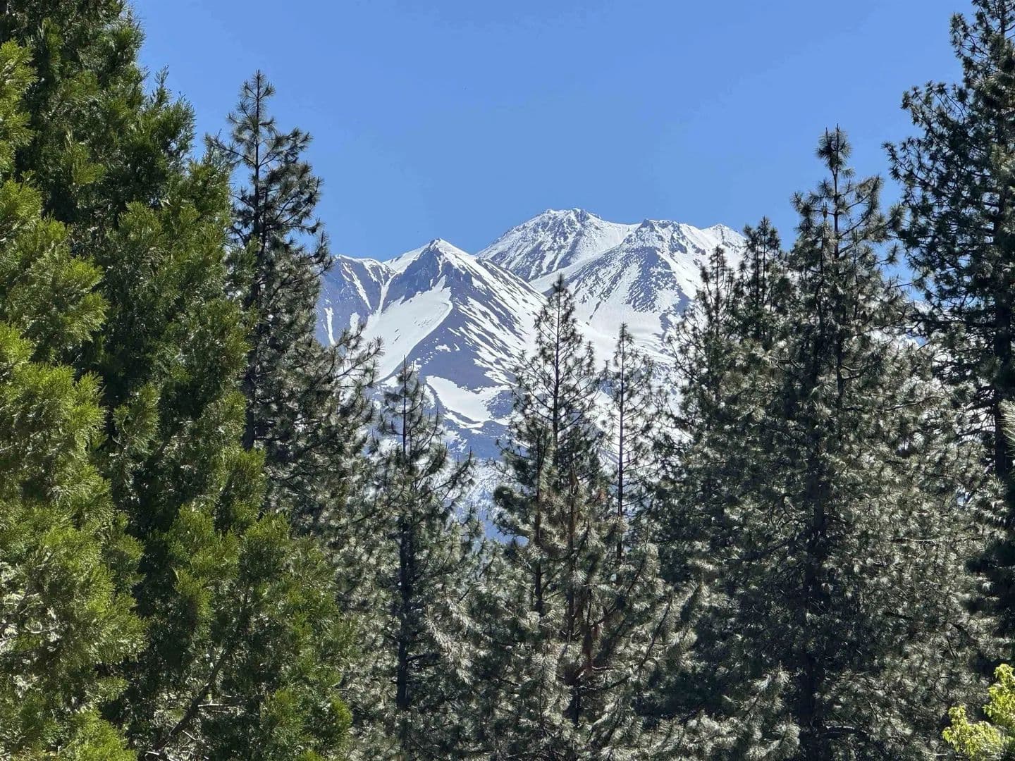 Lots & Land-Other in Weed - Weed, California, 960949754