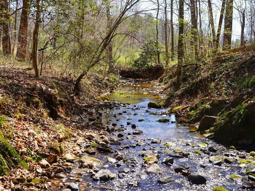 Flatridge Refuge: 18+/- Wooded Acres with Creek in Cana, VA