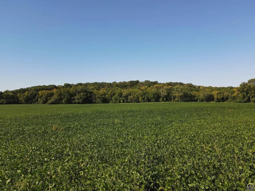 Property from AAA Hwy 59 - KW
