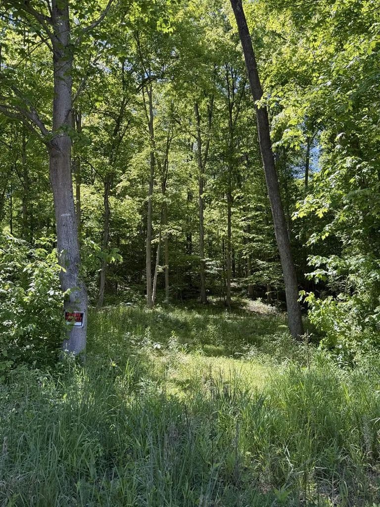 Lots & Land-Other in Waverly