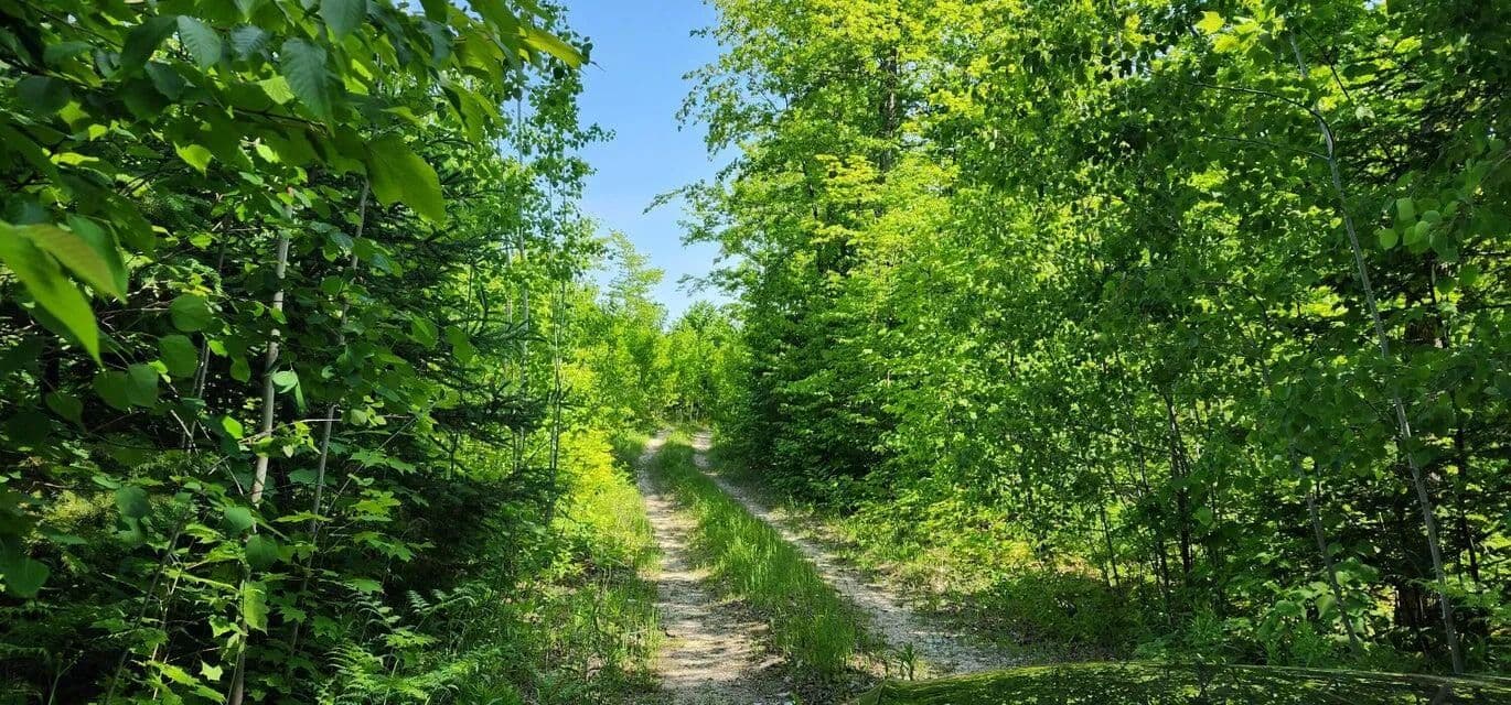 Vacant Land in Hessel - Hessel, Michigan, 49745