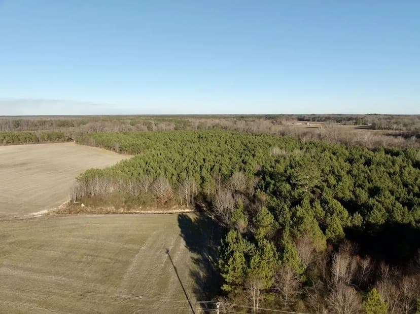 UNDER CONTRACT!!  35.43 acre Hunting and Timber tract for sale in Hertford County, NC!
