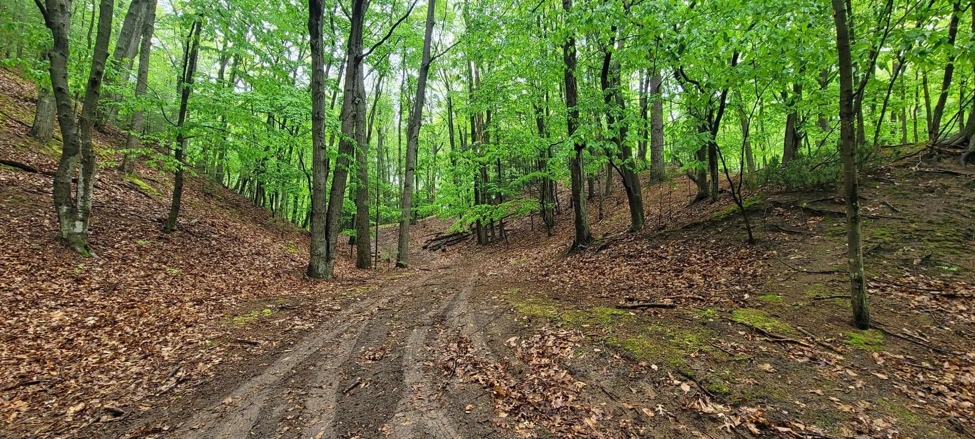 Lots & Land-Other in Pentwater - Pentwater, Michigan, 49449