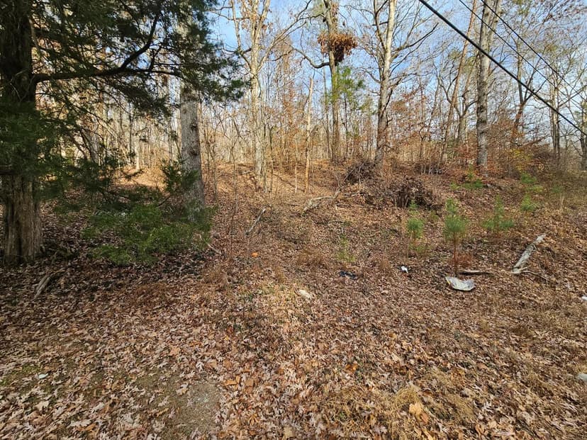 Property from Lot 7 Smyrna Road - KW