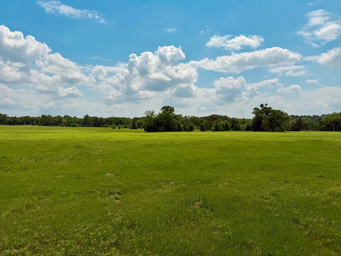 Vacant Land in Eustace - Eustace, Texas, 75124