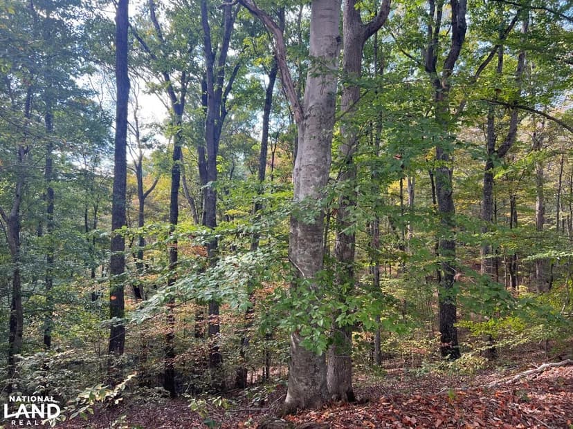 Douglas Lake View Retreat